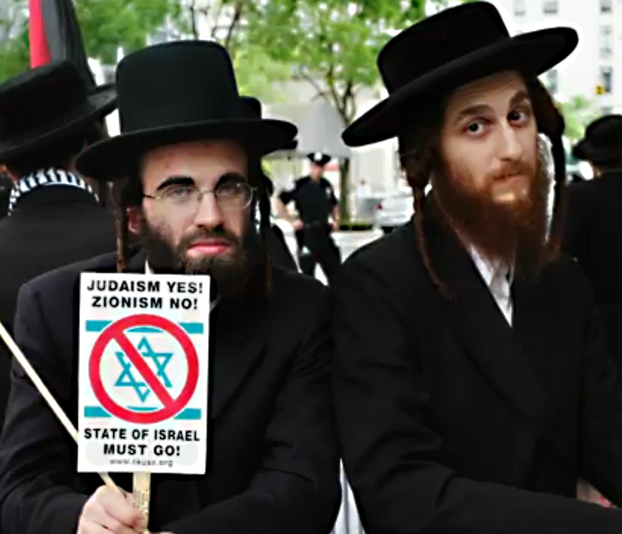 http://www.sickchirpse.com/wp-content/uploads/2014/07/Israel-Palestine-anti-zionist-jews.jpg