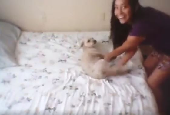 Videos of women and dogs having sex