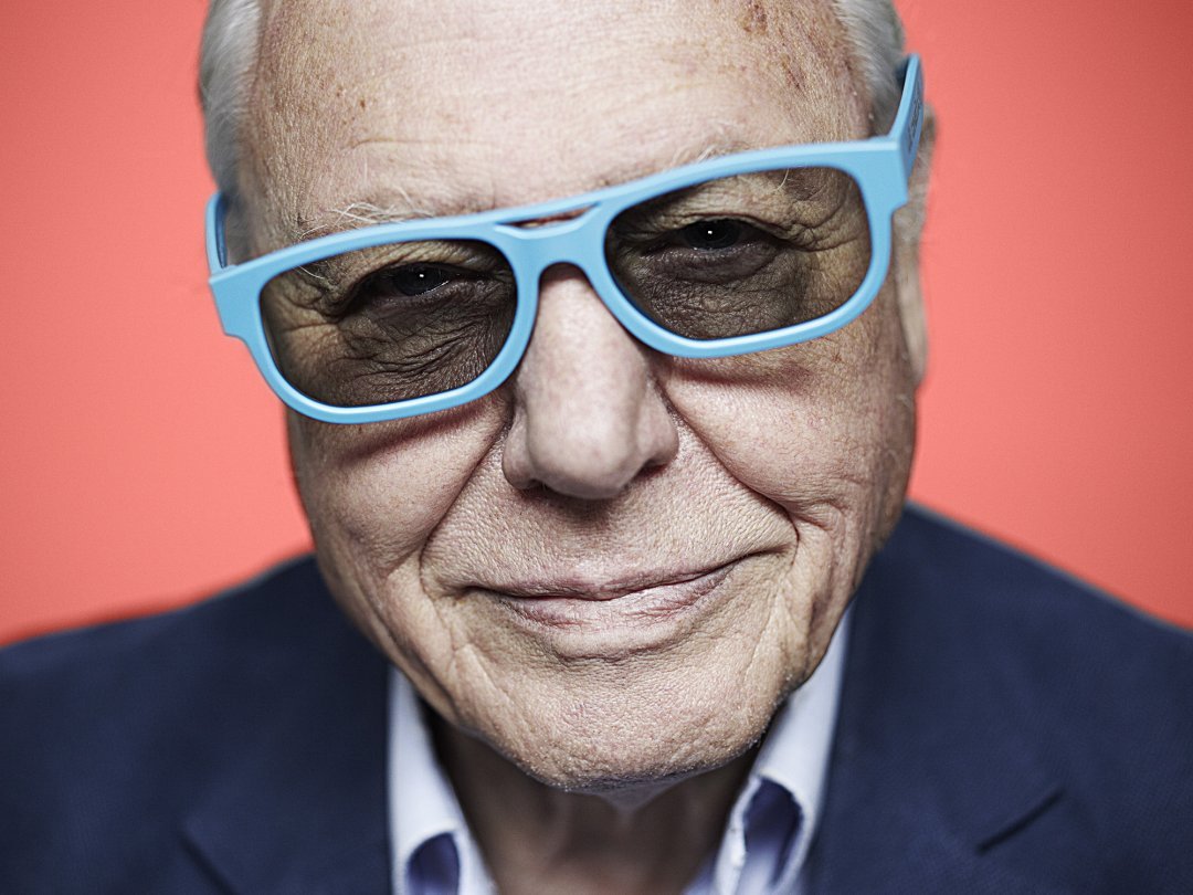 David Attenborough Is Stoked That He's More Popular Than 'The X Factor'