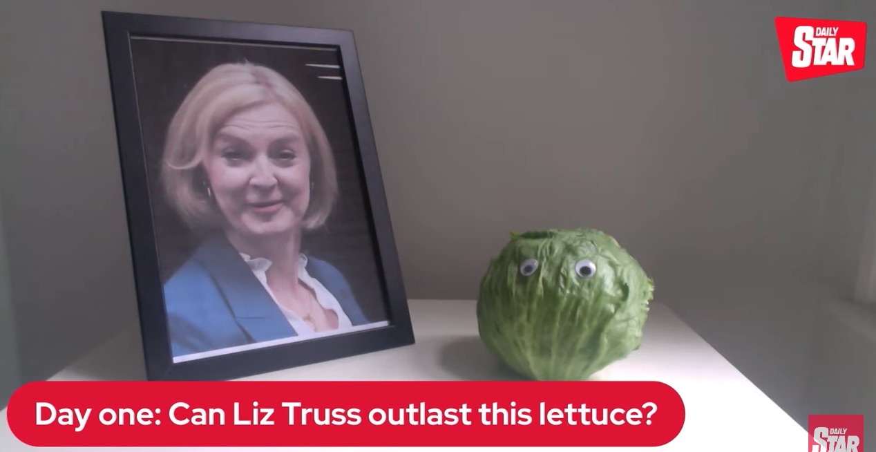 The Daily Star Is Livestreaming A Lettuce Betting That It Will Last