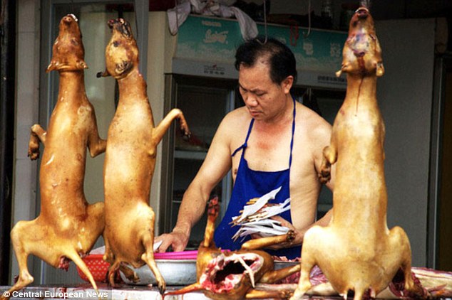 Chinese Dog Meat Festival - Stall - Dog Meat