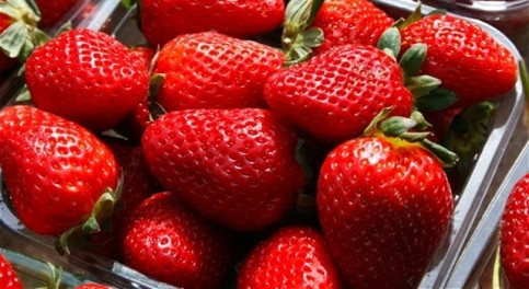 Tesco Fined Â£300k For Strawberry Price Promotion