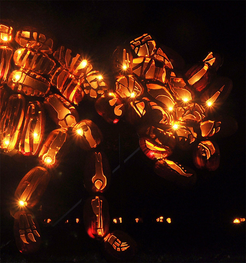 Great Jack O Lantern Blaze 2