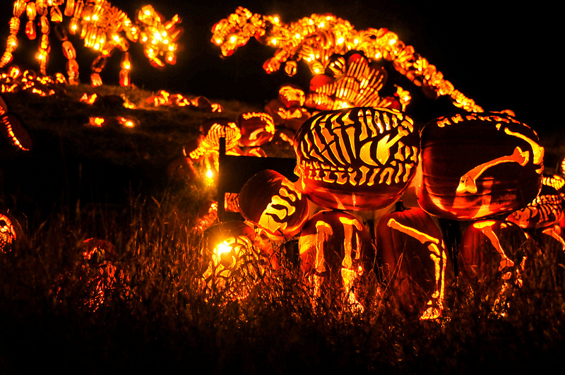 Great Jack O Lantern Blaze 4