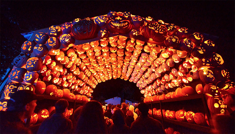 Great Jack O Lantern Blaze 6