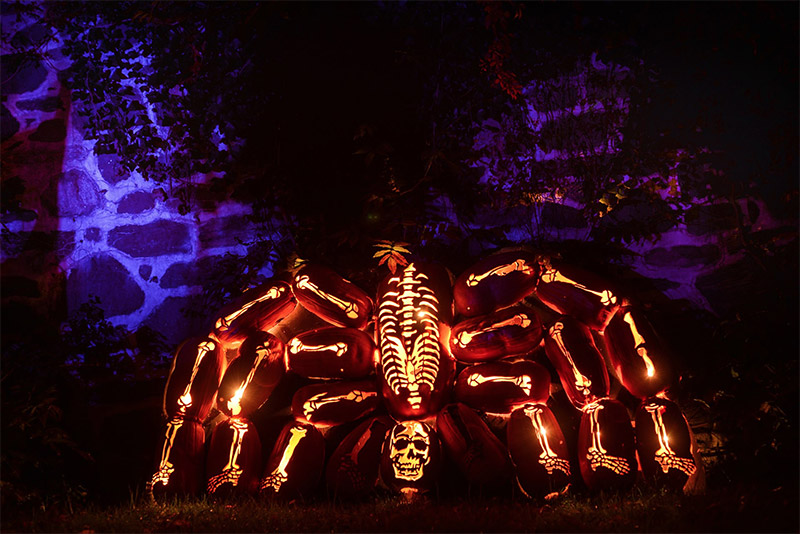 Great Jack O Lantern Blaze 9