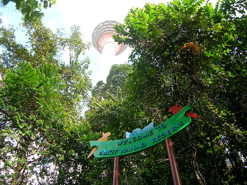 Smallest Rainforest - Bukit Nanas - Malaysia