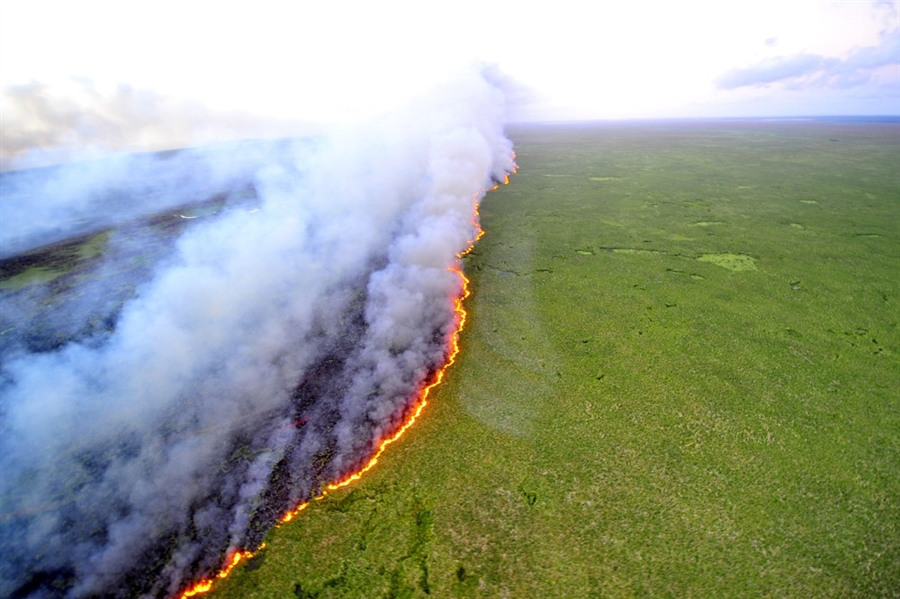 forest fire brazil