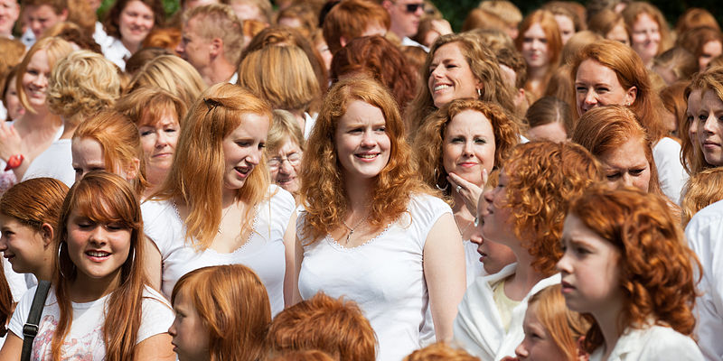 Gingers 