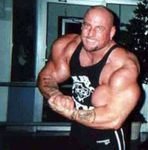 Synthol 8