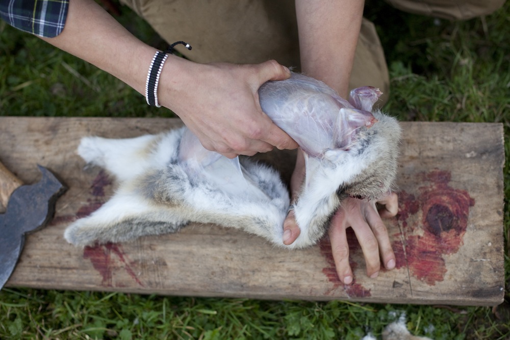 How To Skin And Gut A Rabbit - Deskin
