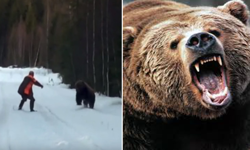 Watch This Swedish Bloke Scare The Shit Out Of A Bear That's Attacking Him