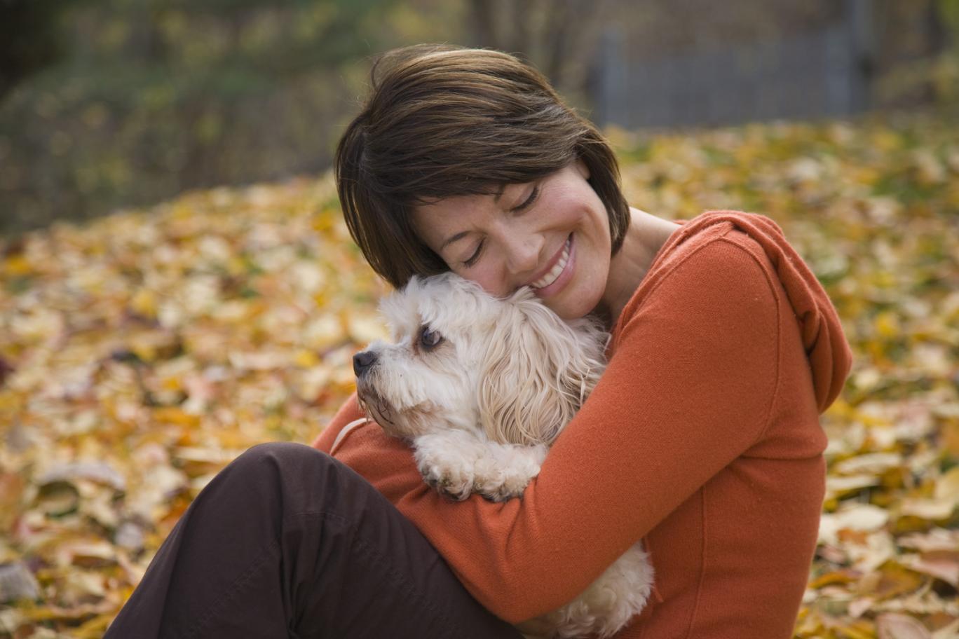 dog hugging pillow