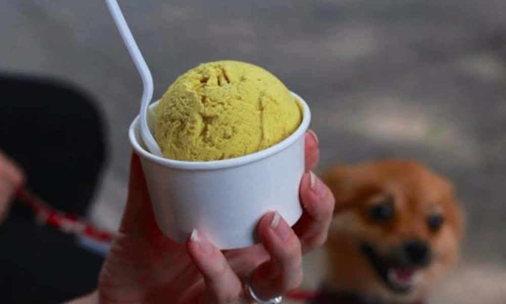 Fried Chicken Ice Cream in Japan