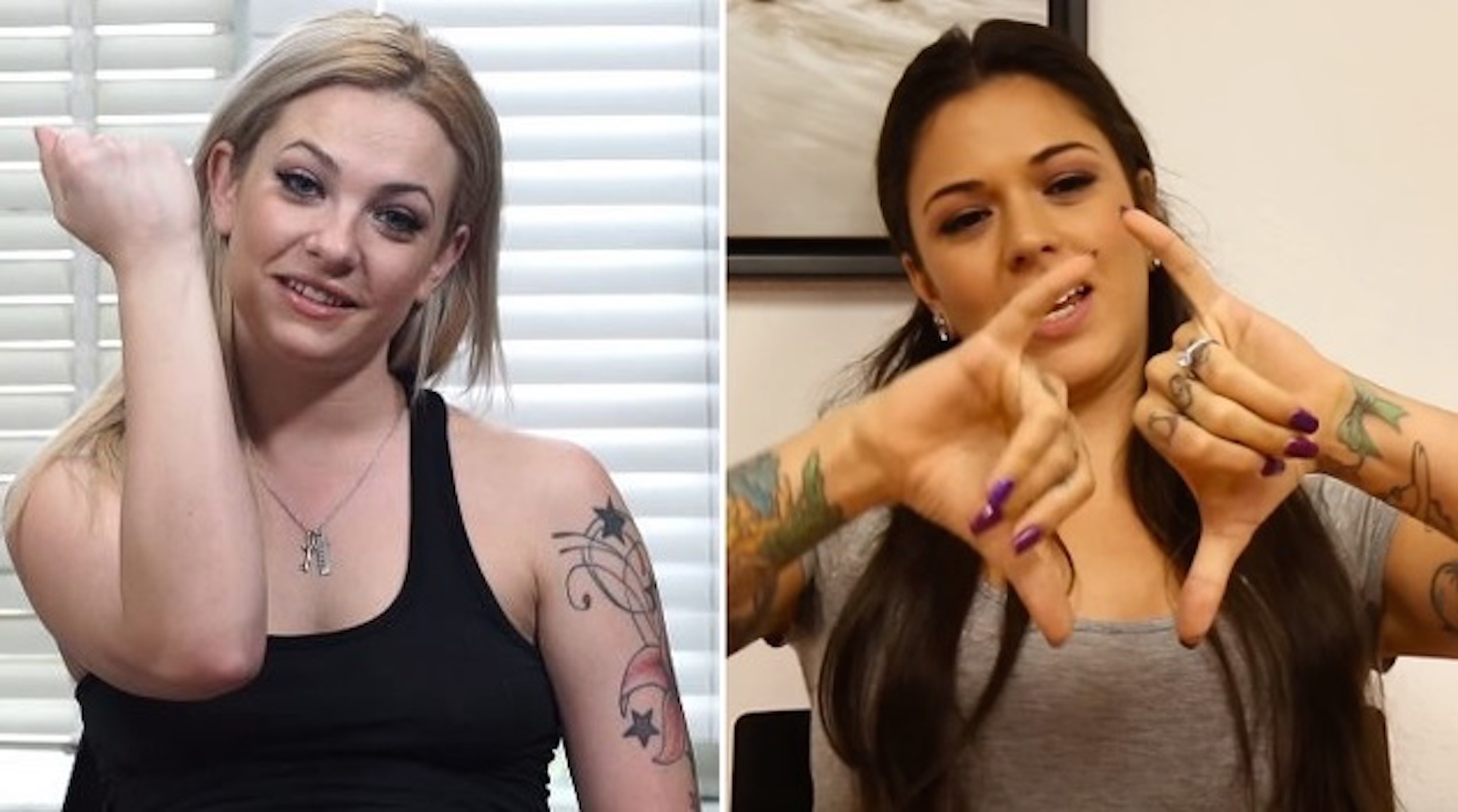Porn Star Penis - Porn Stars Reveal Their Perfect Penis Size â€“ Sick Chirpse