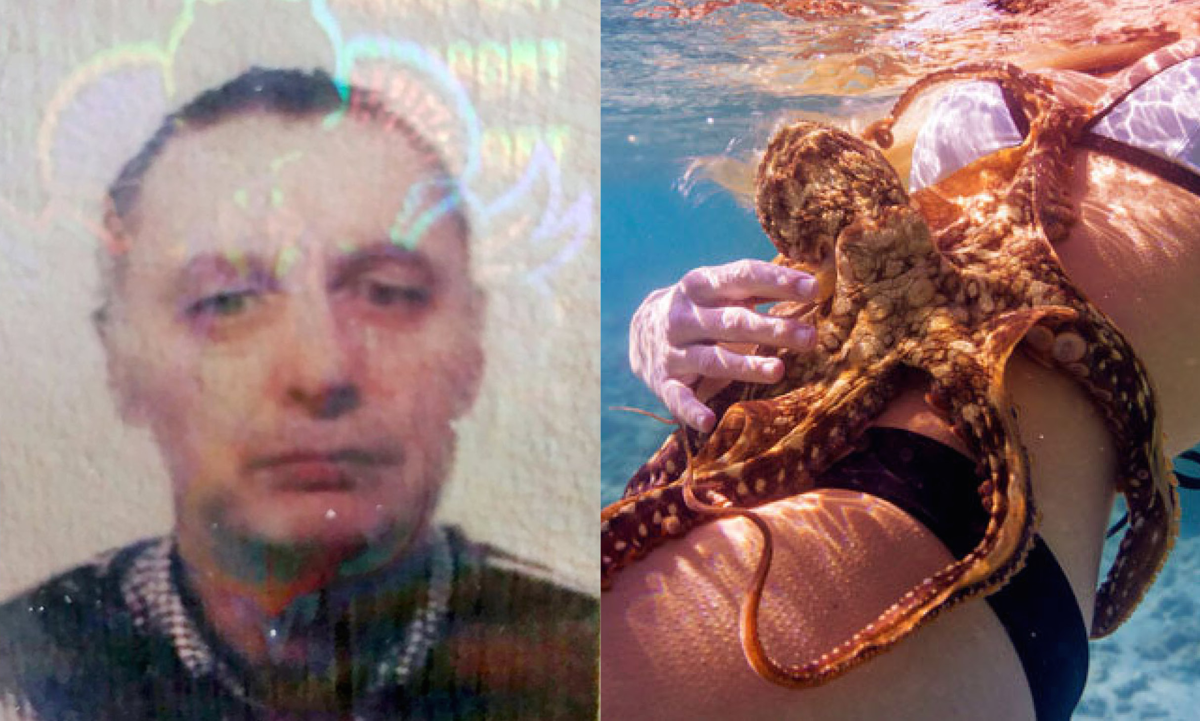 This Man Caught With Extreme Octopus And Child Porn Has Been ...
