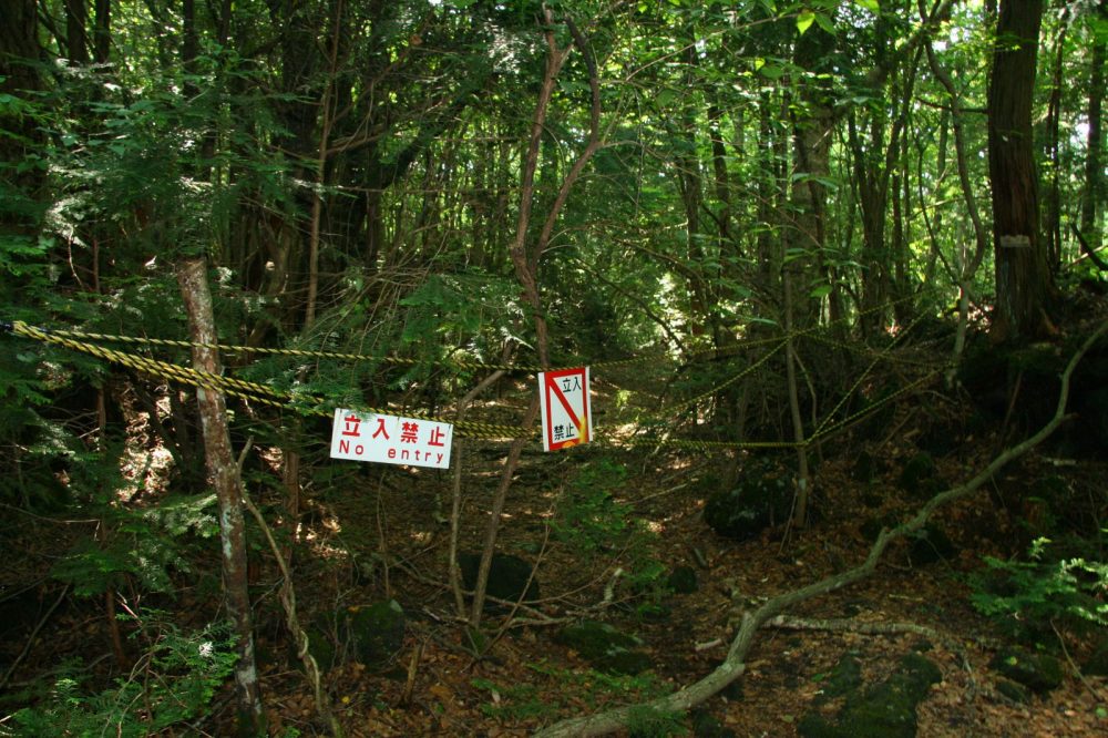 This Is The Dark Side Of Aokigahara Forest Aka The Suicide Hotspot Of