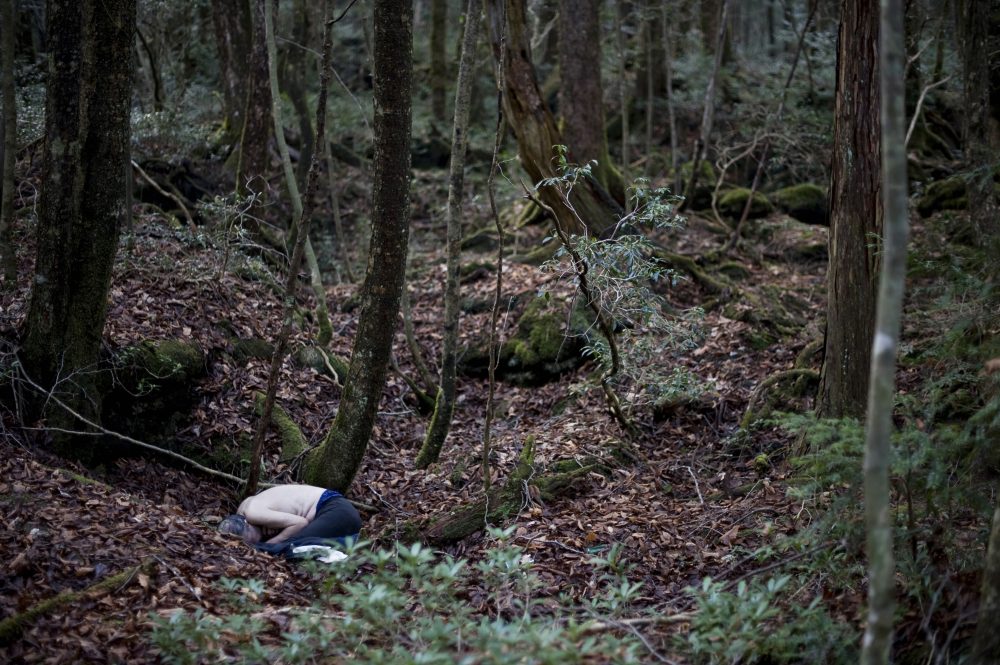 This Is The Dark Side Of Aokigahara Forest AKA The Suicide Hotspot Of