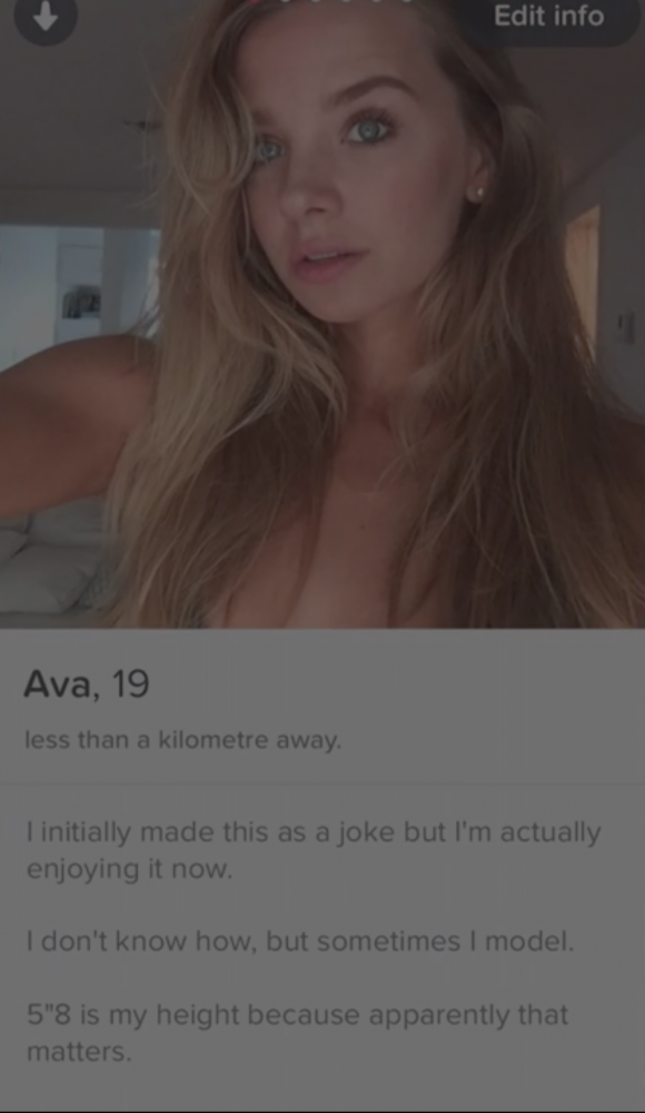 The Best Worst Profiles And Conversations In The Tinder Universe 84