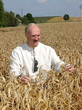 belarus wheat