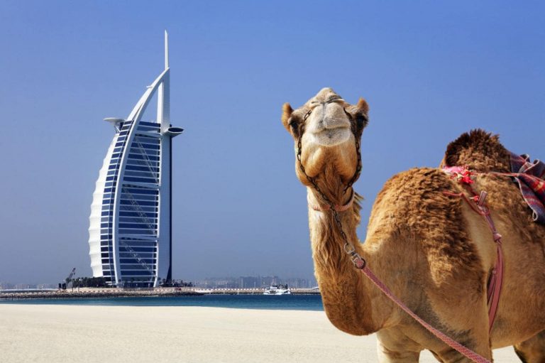 This Company Will Pay You 200 000 To Work In Dubai And You Don t Need 