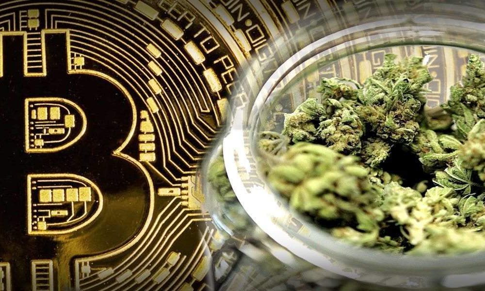 buying weed with bitcoin