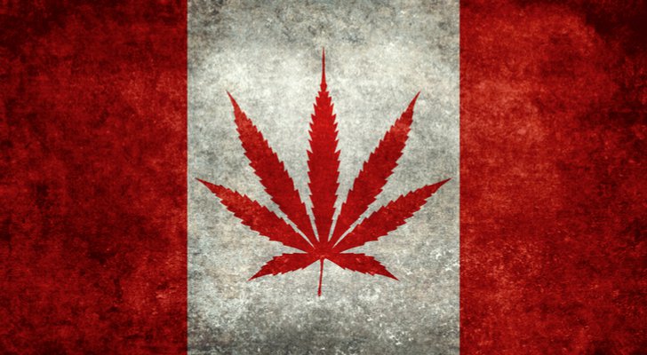 Canadian Weed