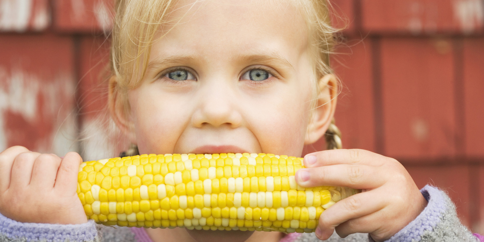 This Guy Reveals That Weve Been Eating Corn On The Cob All Wrong Our