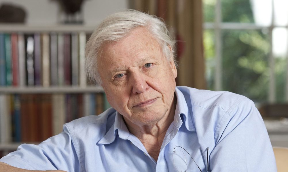 There's Already A Teaser Trailer For The New BBC David Attenborough