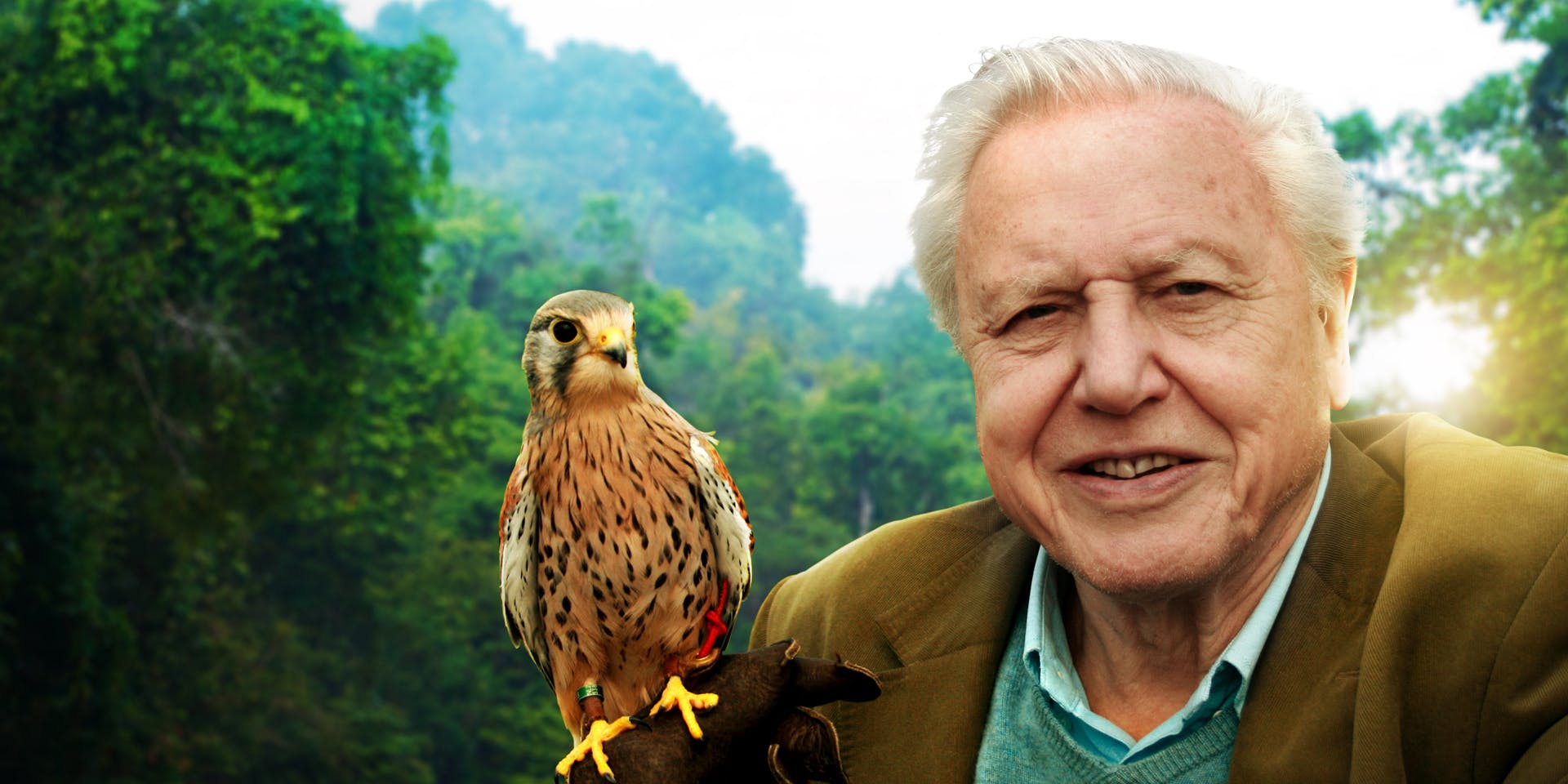 Two New David Attenborough Documentaries Are Being Produced