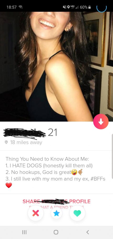 The Best And Worst Tinder Profiles And Conversations In The World 182 8106