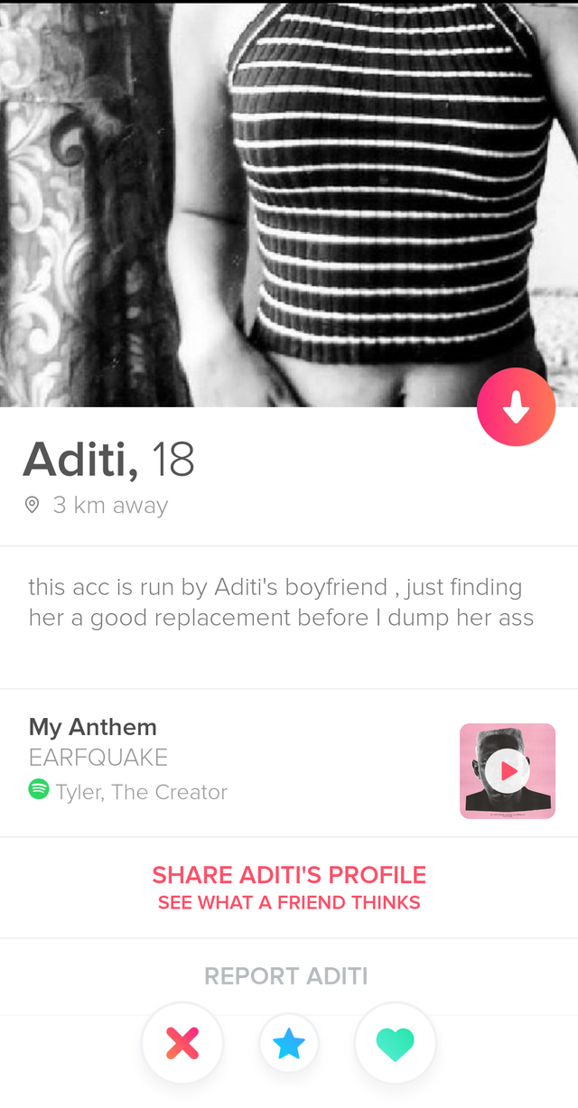 The Best And Worst Tinder Profiles And Conversations In The World 187