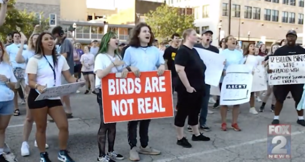 The ‘Birds Aren’t Real’ Movement Is Now Holding Rallies And They’re